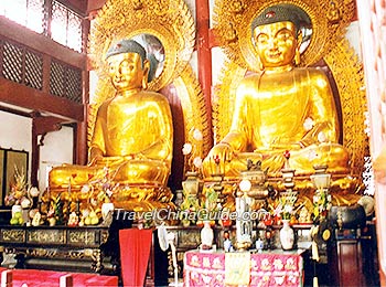 The golden statues of the Sakyamuni